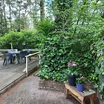 Alpehytte Vogelzang