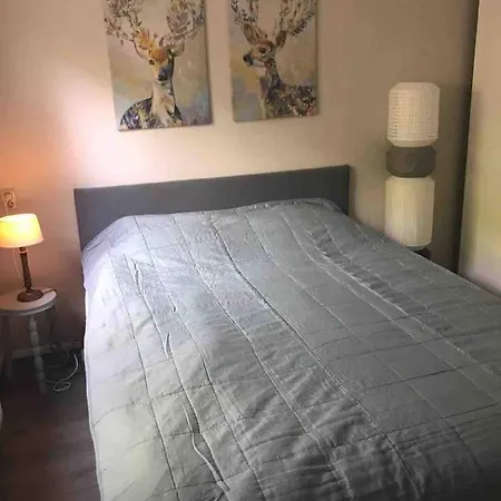 Vogelzang * Hattemerbroek