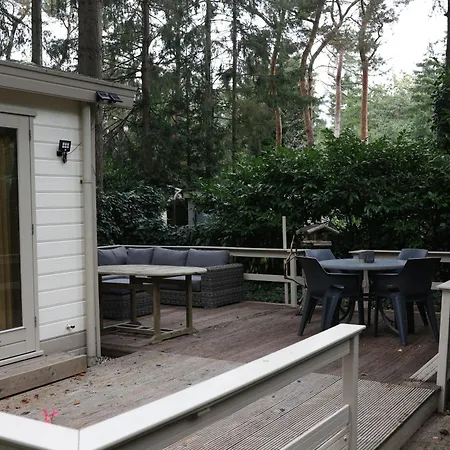 Vogelzang * Hattemerbroek