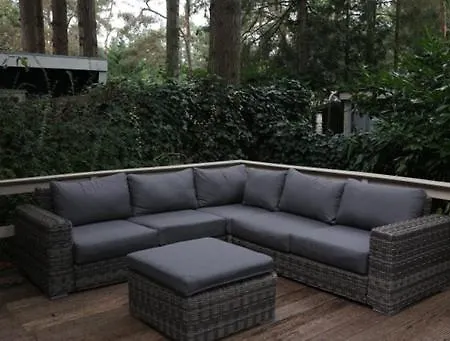 Vogelzang * Hattemerbroek