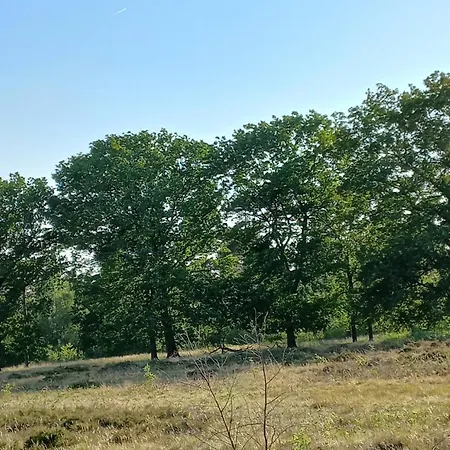 Vogelzang בקתה *