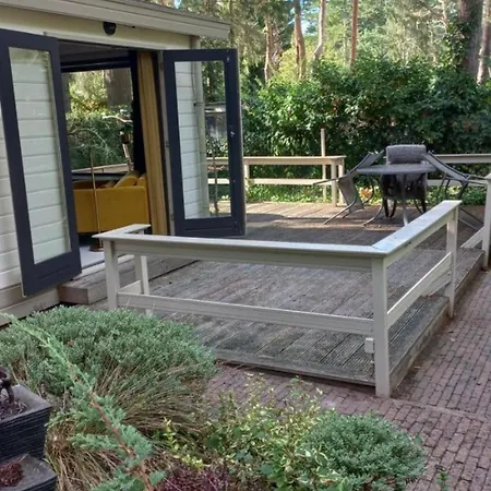 Vogelzang Hattemerbroek