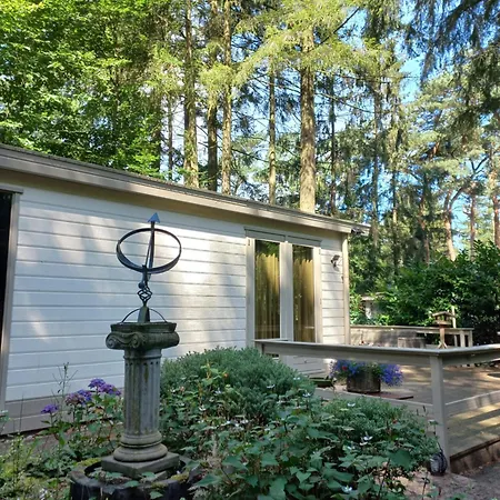 Vogelzang * Hattemerbroek