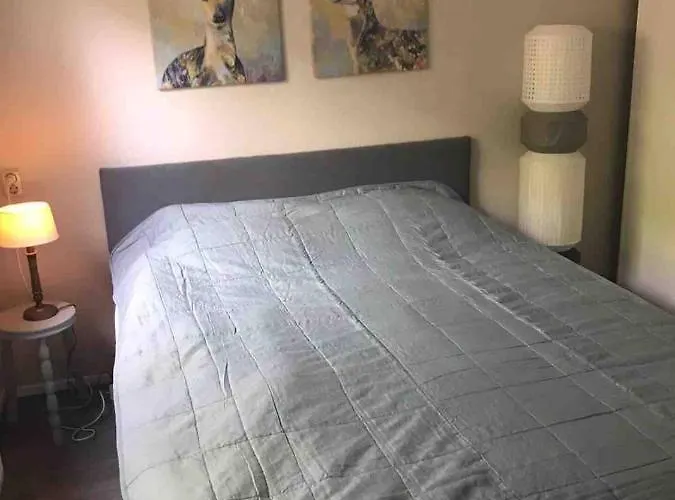 Vogelzang * Hattemerbroek