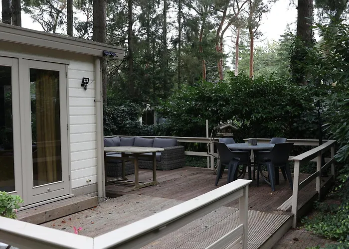 Vogelzang * Hattemerbroek