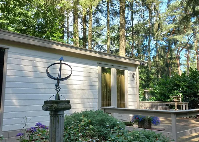 Vogelzang * Hattemerbroek