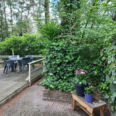 Chalet Vogelzang